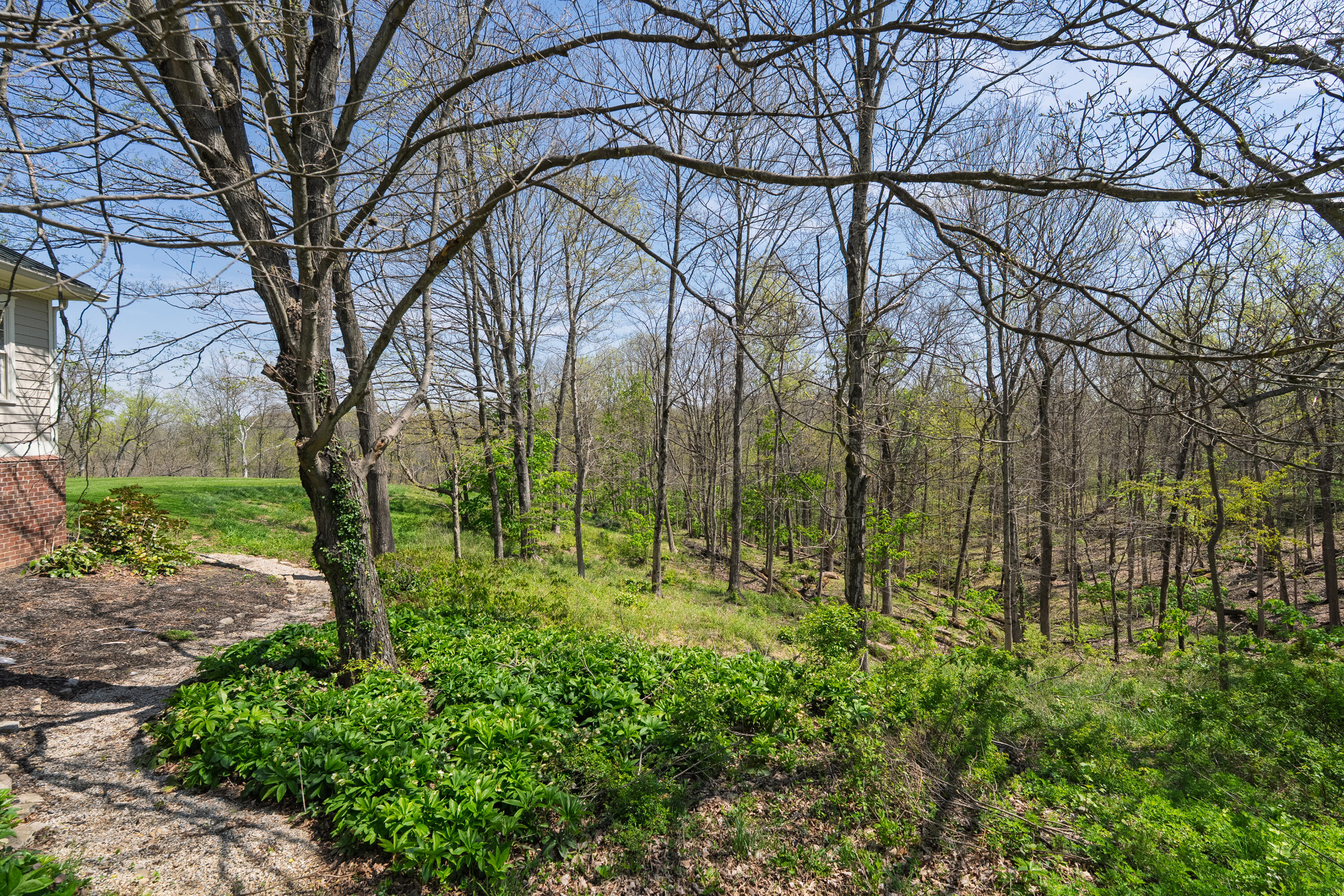 11213 East Bend Road Union, KY 41091 - Photo 45 of 47
