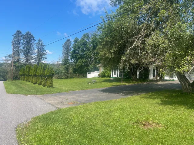 a view of a park with large trees