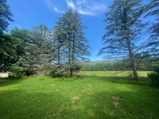 a view of field with tall trees