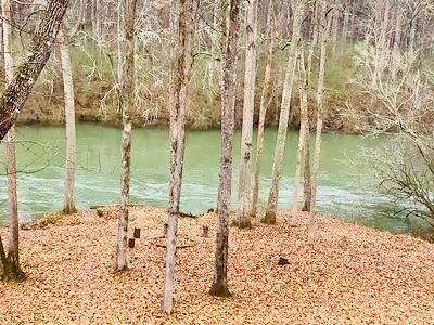 4141 Riverview Run Court Suwanee, GA 30024 - Photo 3 of 46