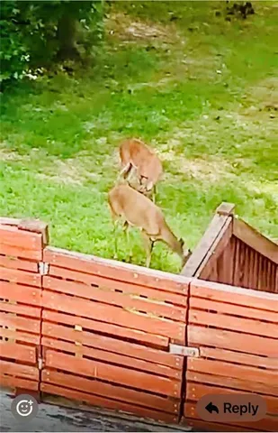 $972,000 | 4141 Riverview Run Court, Suwanee, GA 30024