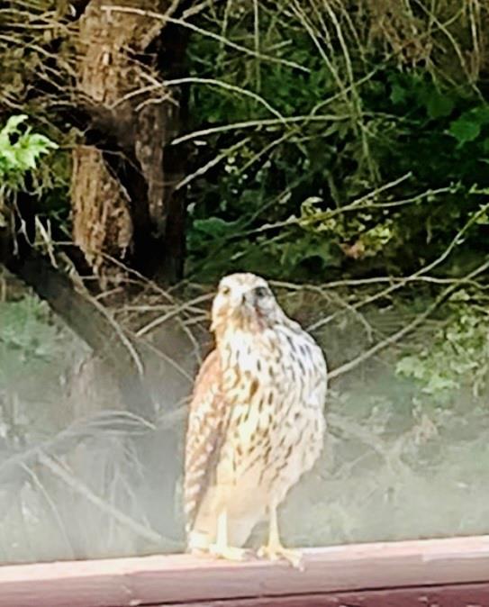 4141 Riverview Run Court Suwanee, GA 30024 - Photo 42 of 46