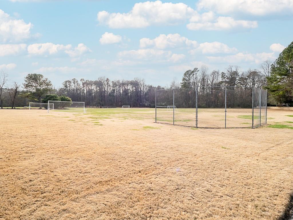 4141 Riverview Run Court Suwanee, GA 30024 - Photo 51 of 53