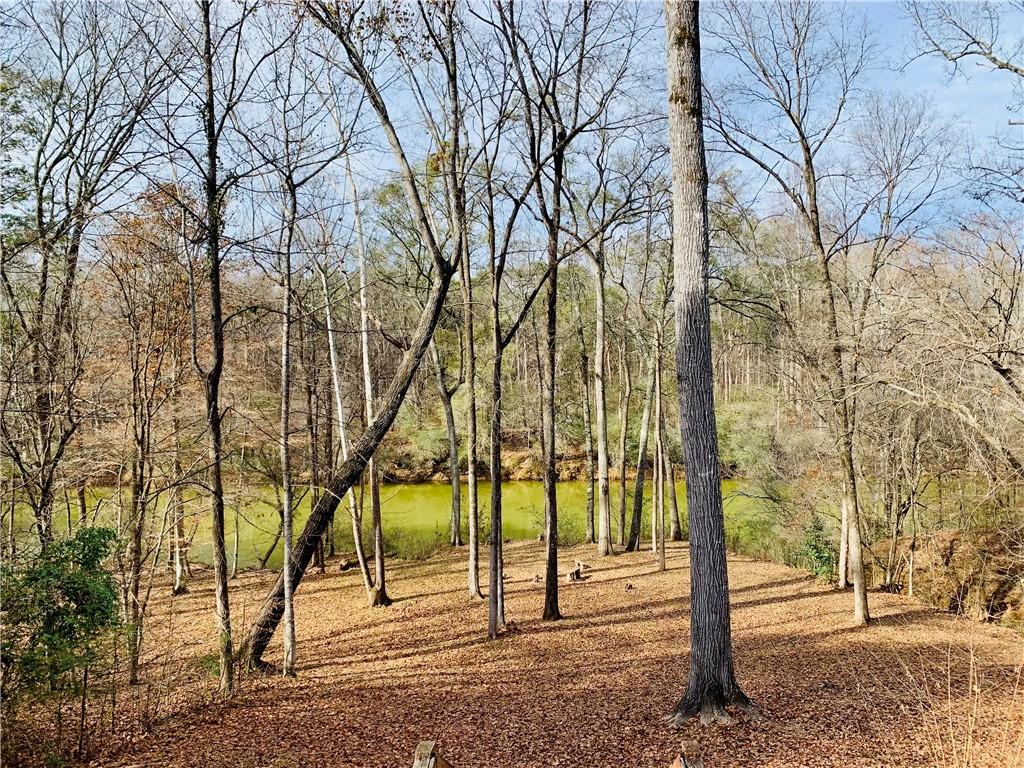 4141 Riverview Run Court Suwanee, GA 30024 - Photo 60 of 81