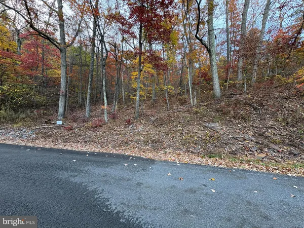 a view of a forest with trees