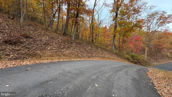 a view of a yard with trees