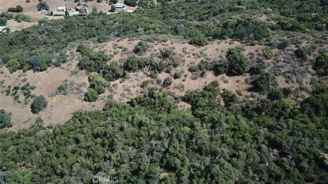an aerial view of forest