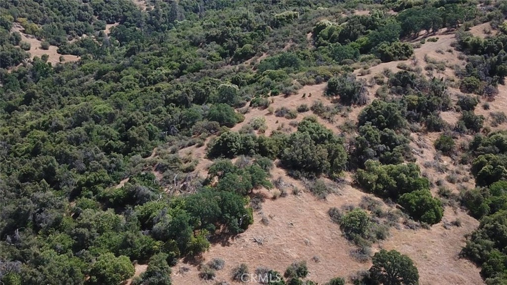 15 Acres Miramonte, CA 93641 - Photo 9 of 9 an aerial view of forest