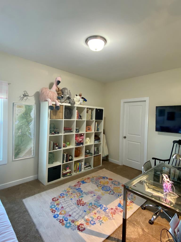 136 Belgian Blue Way Fountain Inn, SC 29644 - Photo 29 of 44 Gallery Image 29