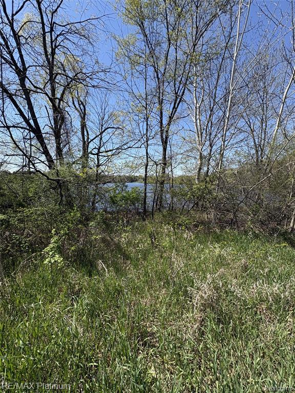 1 Edgemont Drive Drive Howell, MI 48855 - Photo 12 of 19