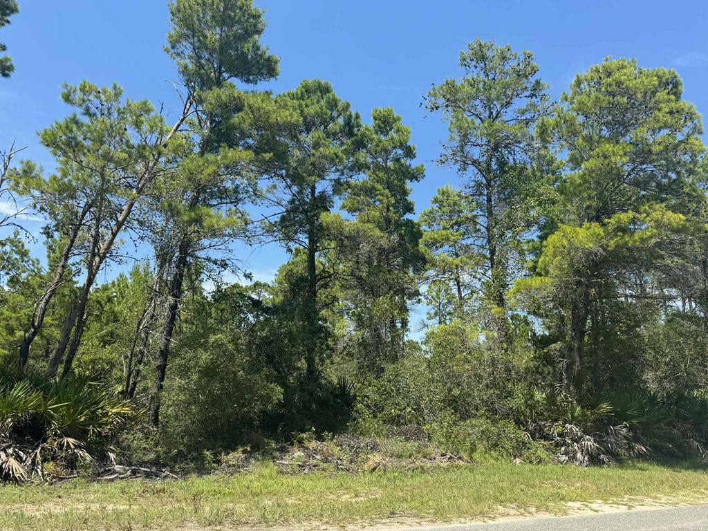 208 Woodill Road Carrabelle, FL 32322 - Photo 1 of 18 Gallery Image 1