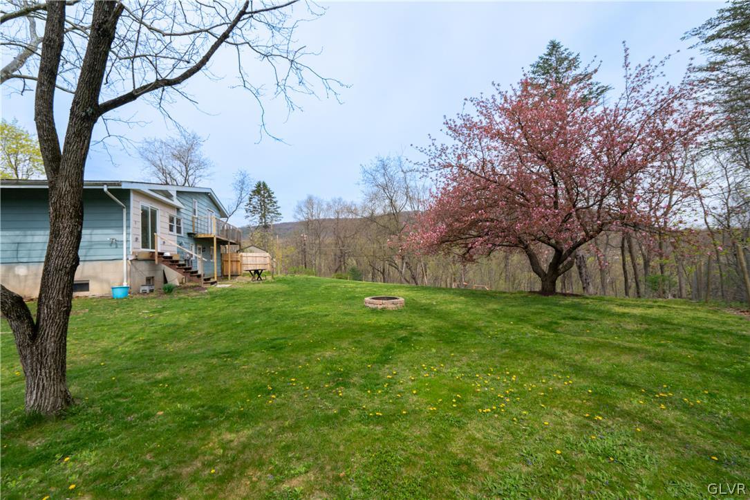 1234 Sunset Circle Slatington, PA 18080 - Photo 36 of 40 a view of a garden with a tree