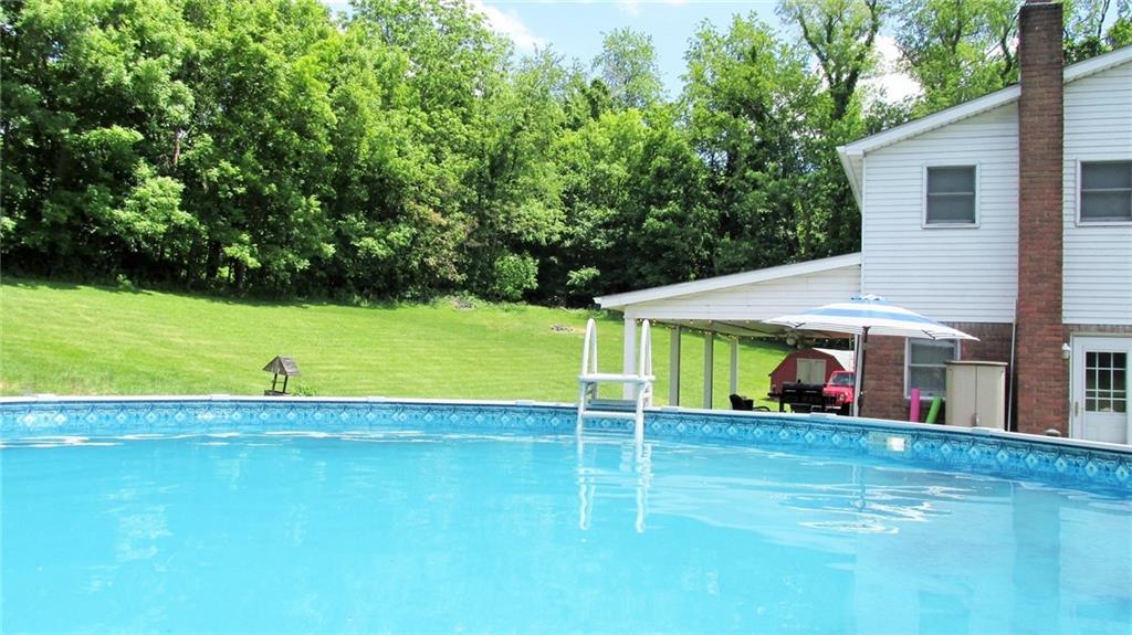 236 Freeman Road Irwin, PA 15642 - Photo 19 of 24 Pool is open!