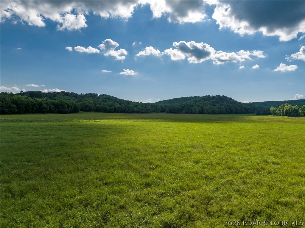 66.3-ac Weber Farm Road Montreal, MO 65591 - Photo 11 of 23