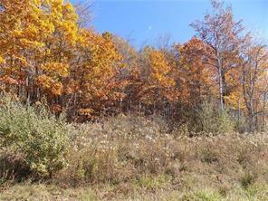 470 Mutton Hollow Road Rural Valley, PA 16249 - Photo 1 of 4 Gallery Image 1