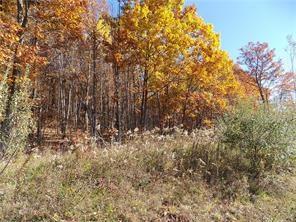 470 Mutton Hollow Road Rural Valley, PA 16249 - Photo 3 of 4 Gallery Image 3