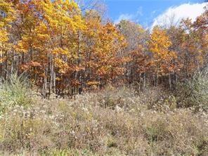 470 Mutton Hollow Road Rural Valley, PA 16249 - Photo 4 of 4 Gallery Image 4