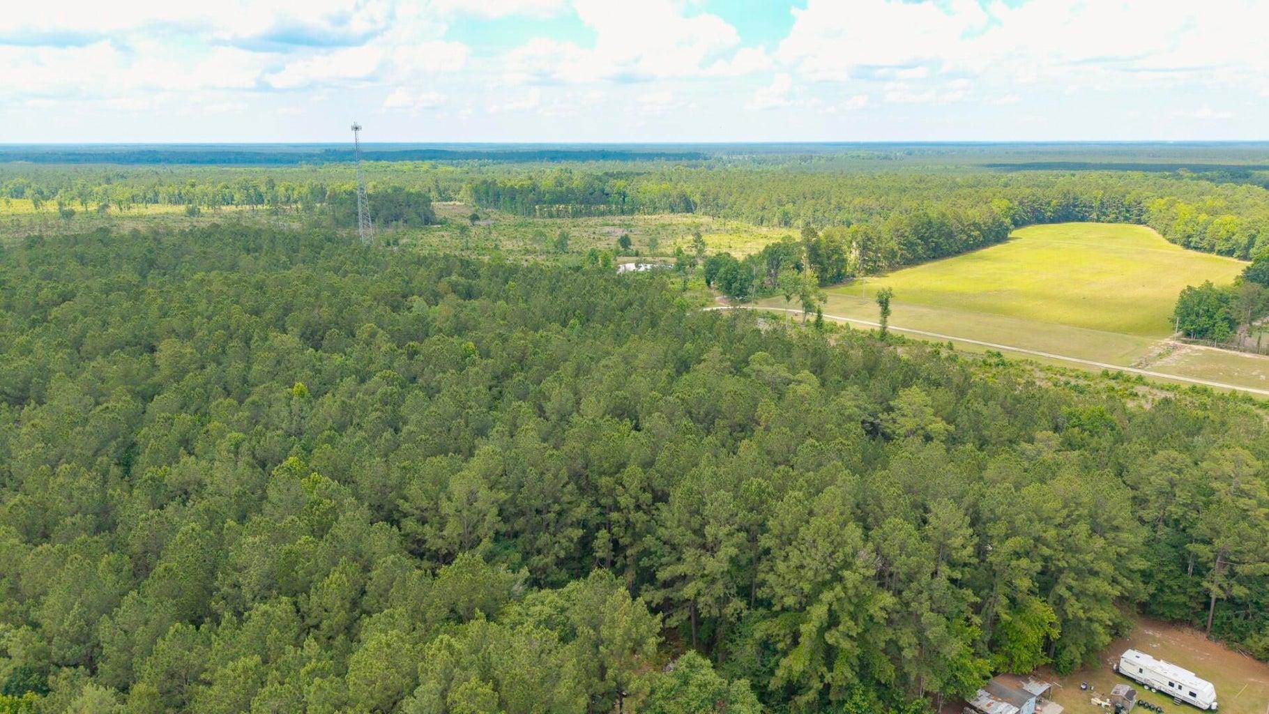 6222 Saints Delight Road Georgetown, SC 29440 - Photo 21 of 27