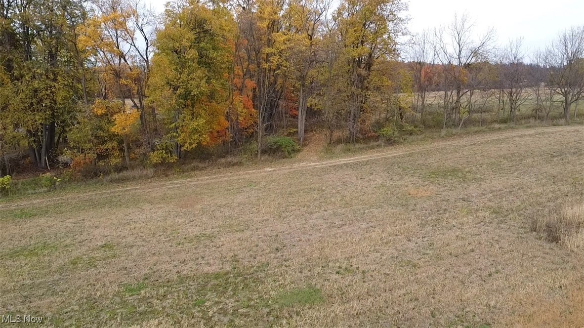 Vl Shaw Road Spencer, OH 44275 - Photo 24 of 28 View of yard