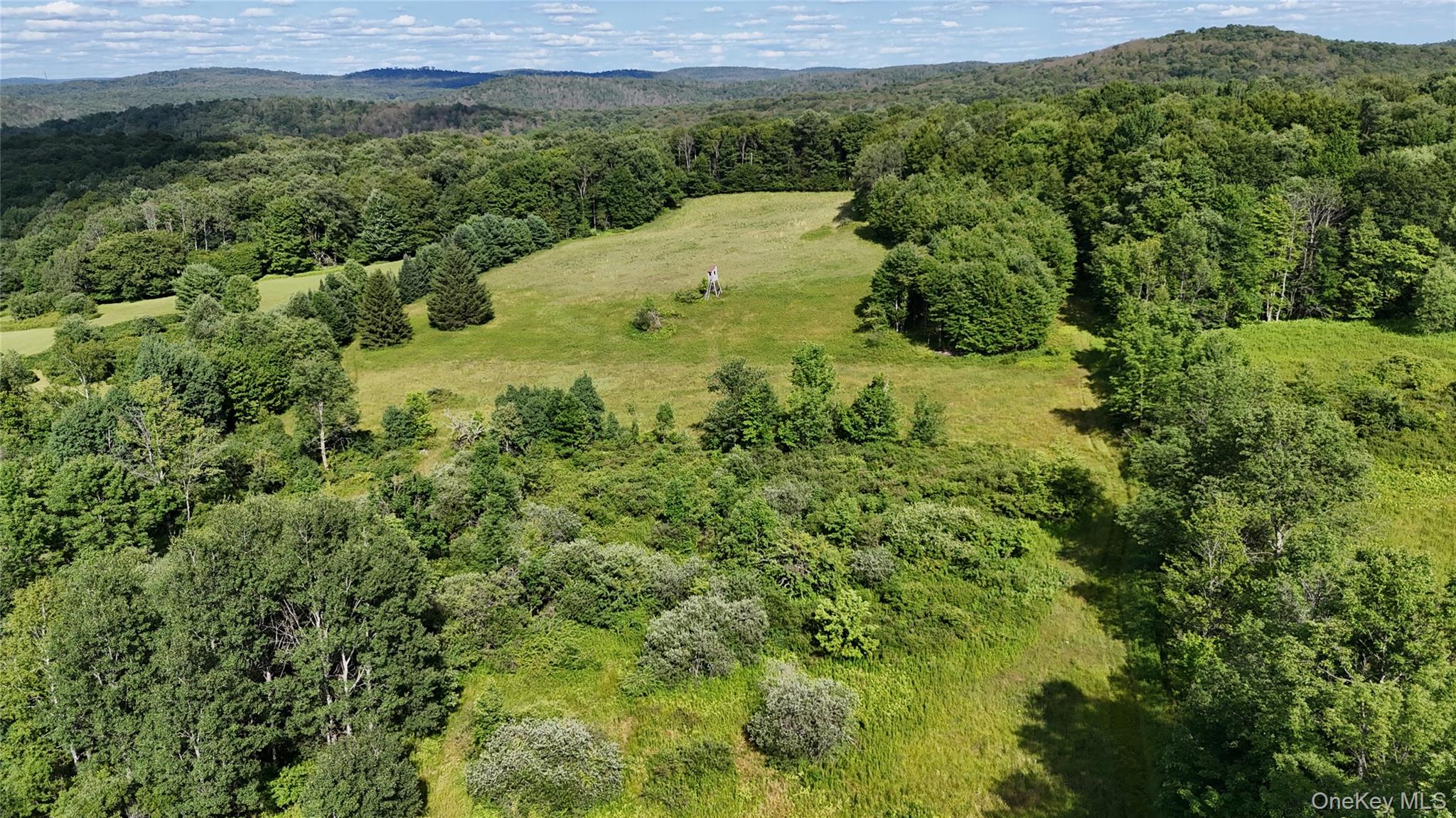 Bert Medlar Road Hancock, NY 13783 - Photo 15 of 17