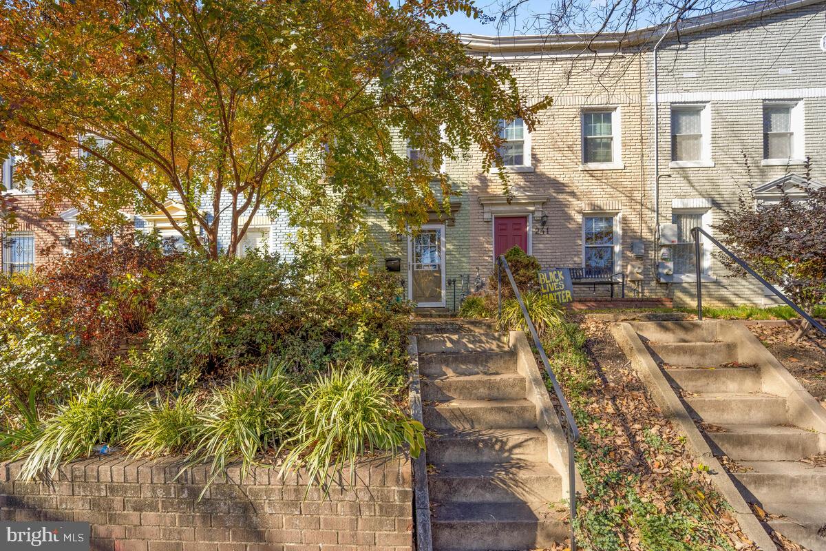 243 17th Street Southeast Washington, DC 20003 - Photo 2 of 37