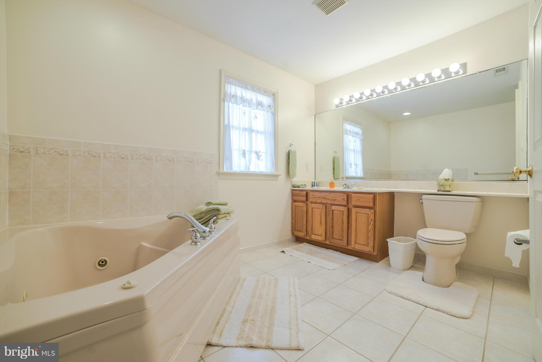2522 Ruthsburg Road Centreville, MD 21617 - Photo 12 of 30 SECOND FLOOR MASTER BATH