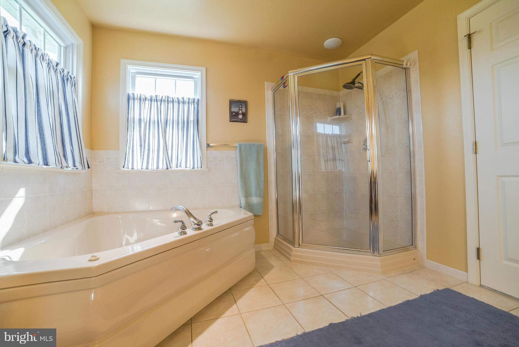 2522 Ruthsburg Road Centreville, MD 21617 - Photo 10 of 30 Bath (Master) Down