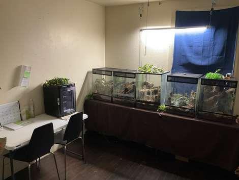 224 Bennett Street Grass Valley, CA 95945 - Photo 31 of 67