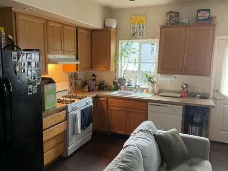 a backyard of a house with plants and tree