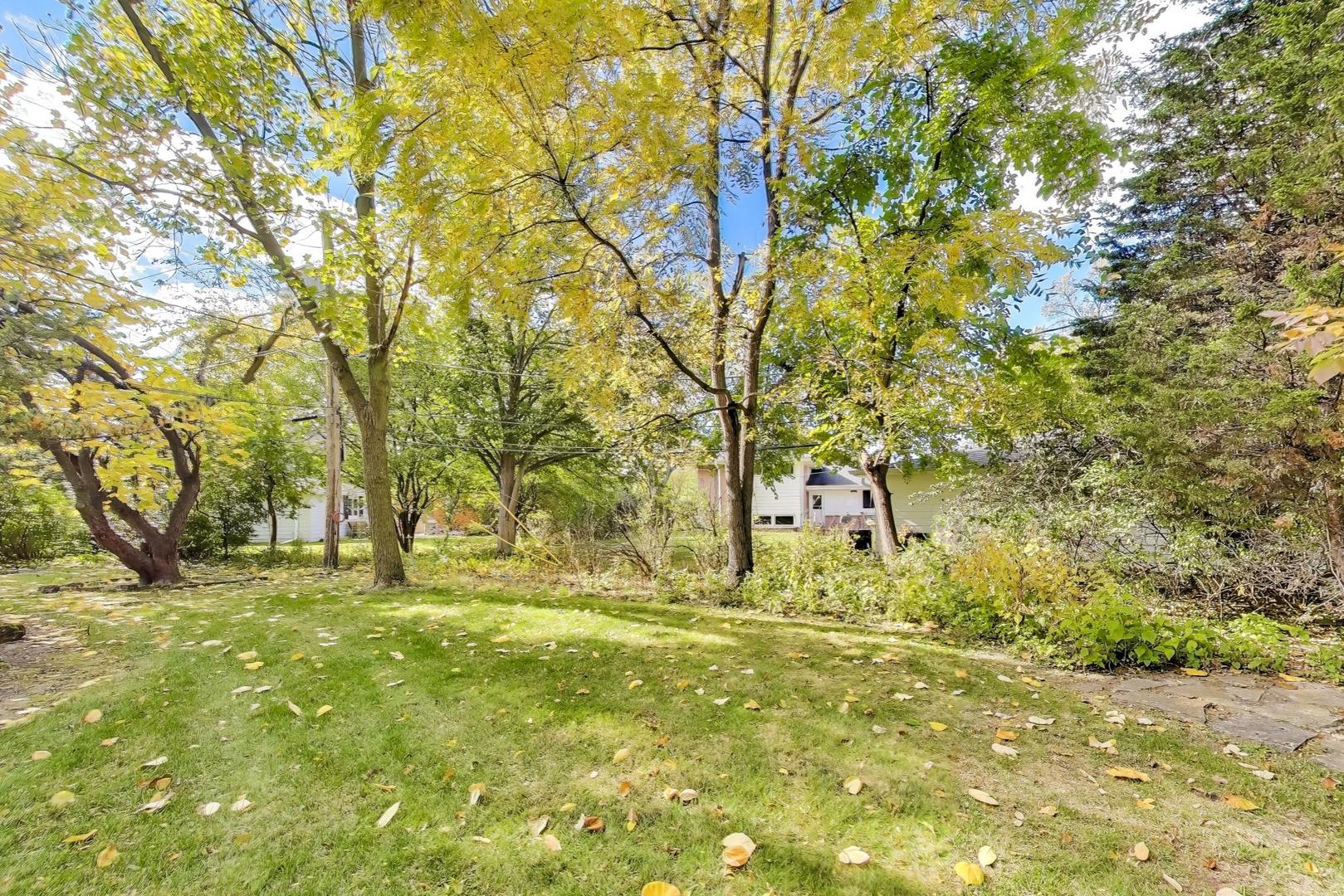 313 Ferndale Road Glenview, IL 60025 - Photo 18 of 22 a view of garden with trees