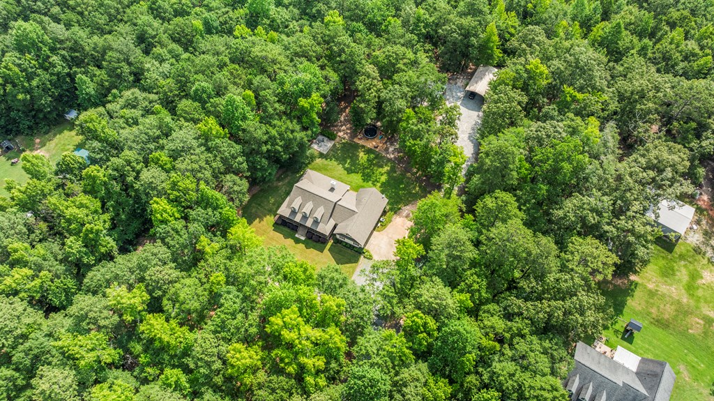 324 Hines Gap Road Hamilton, GA 31811 - Photo 8 of 28