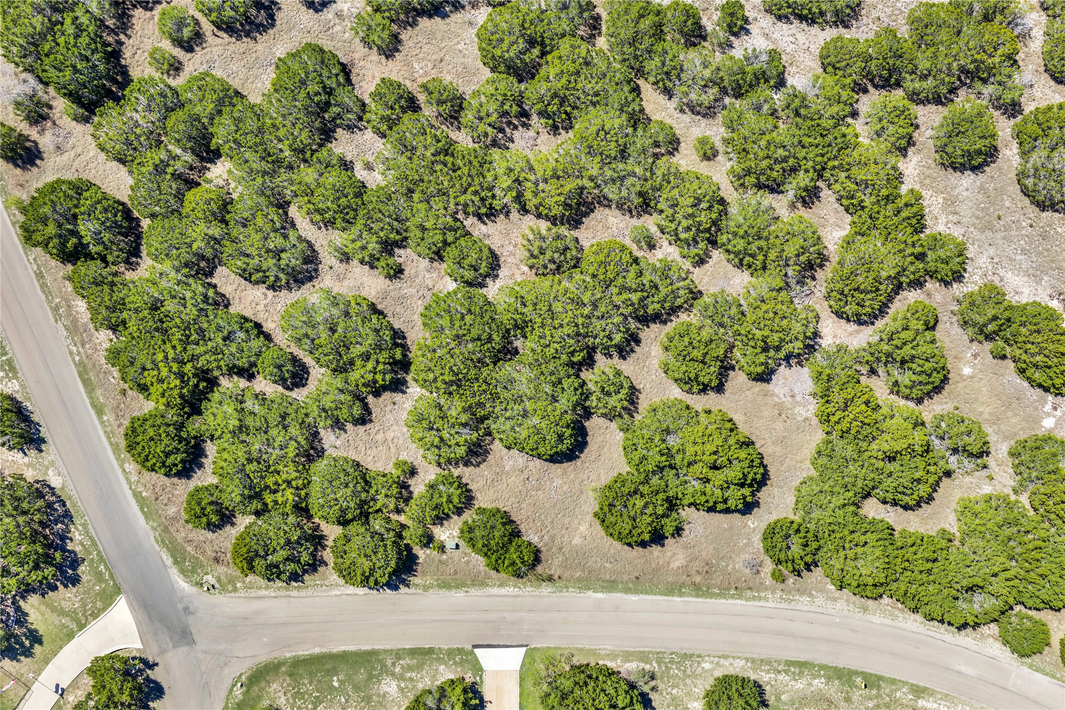 358 Balcones Ridgeway Way Bertram, TX 78605 - Photo 8 of 24 Aerial view