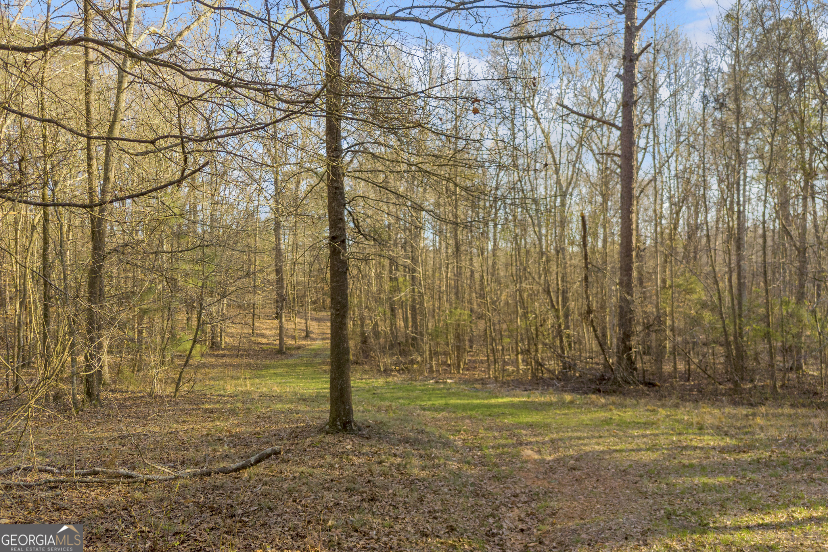 8714 Highway 172 Comer, GA 30629 - Photo 13 of 63
