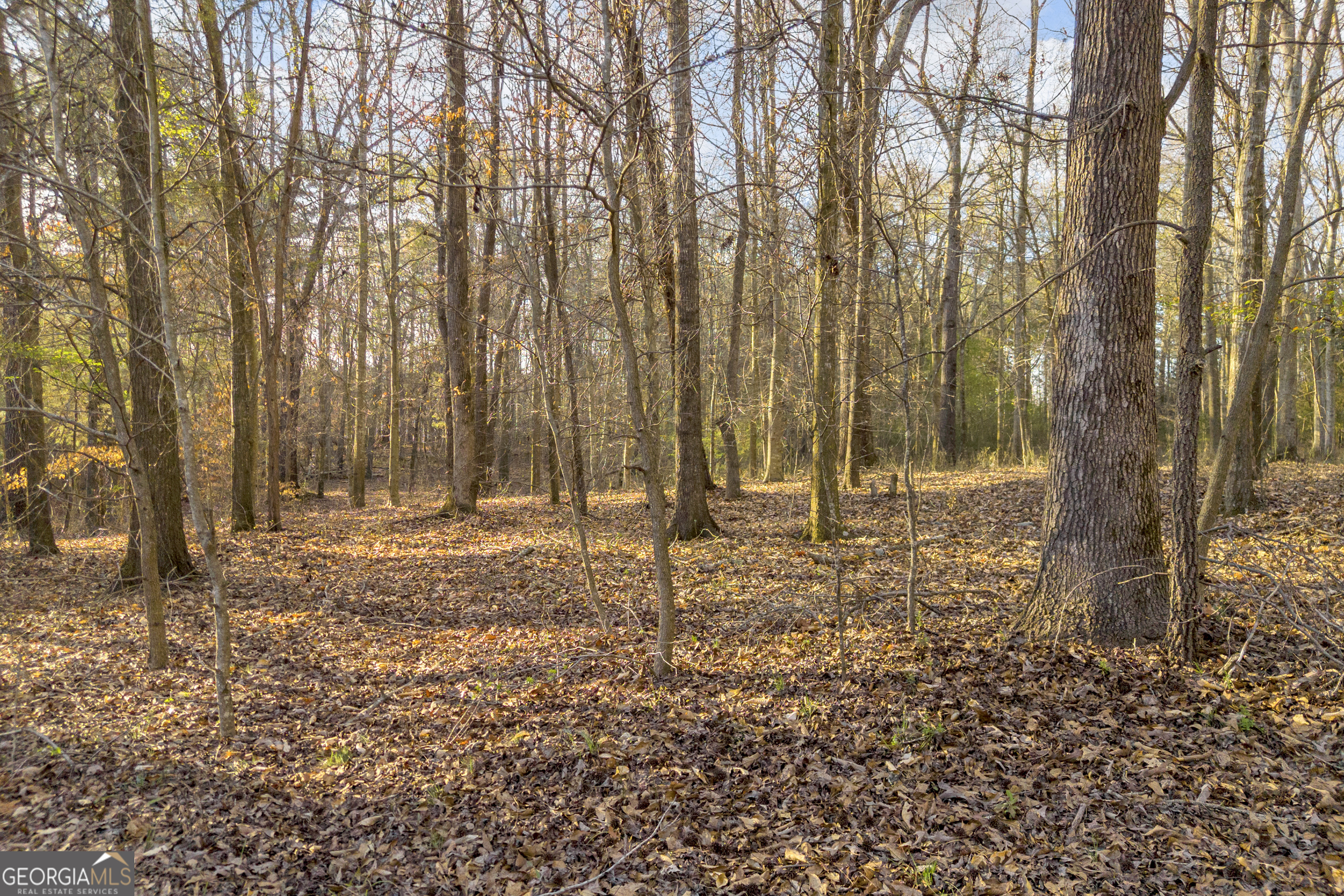 8714 Highway 172 Comer, GA 30629 - Photo 14 of 63