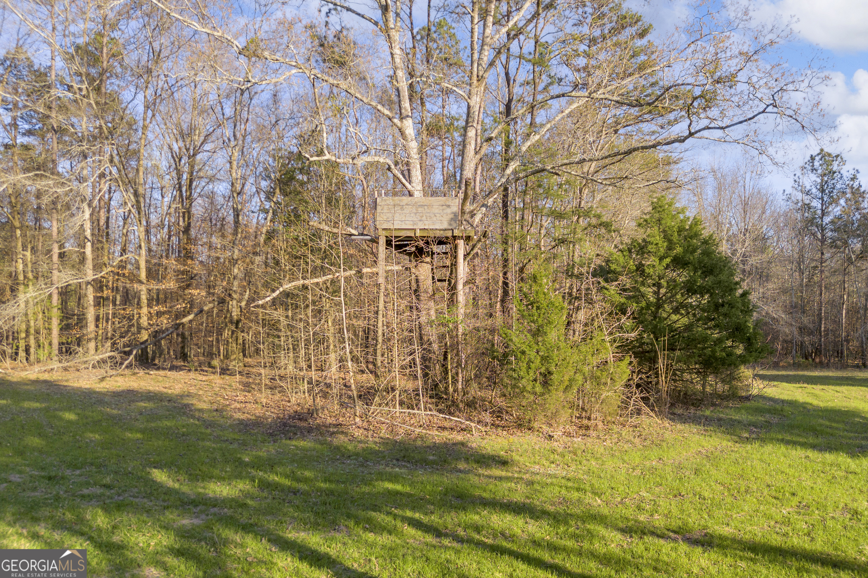 8714 Highway 172 Comer, GA 30629 - Photo 17 of 63