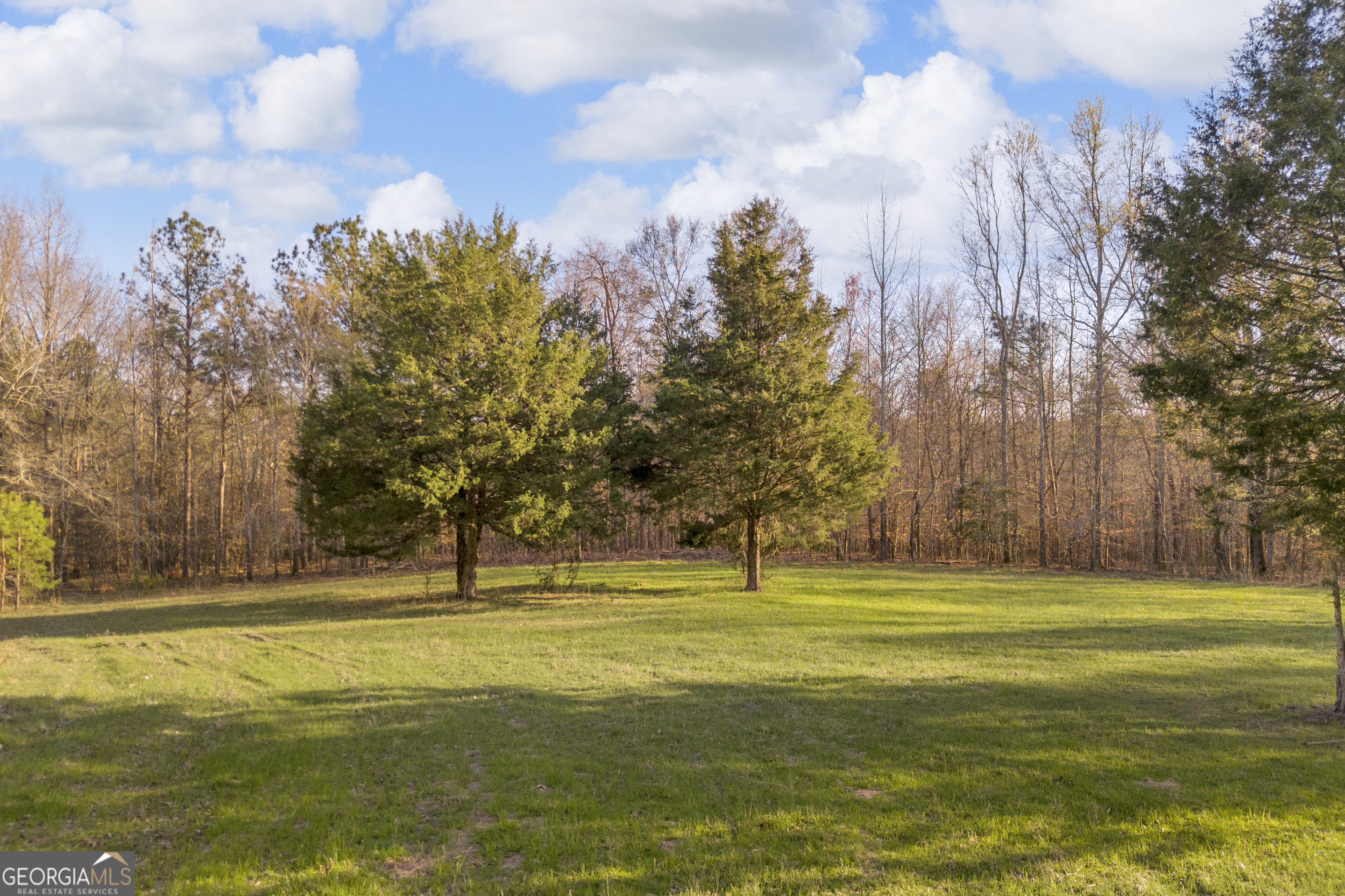 8714 Highway 172 Comer, GA 30629 - Photo 18 of 63