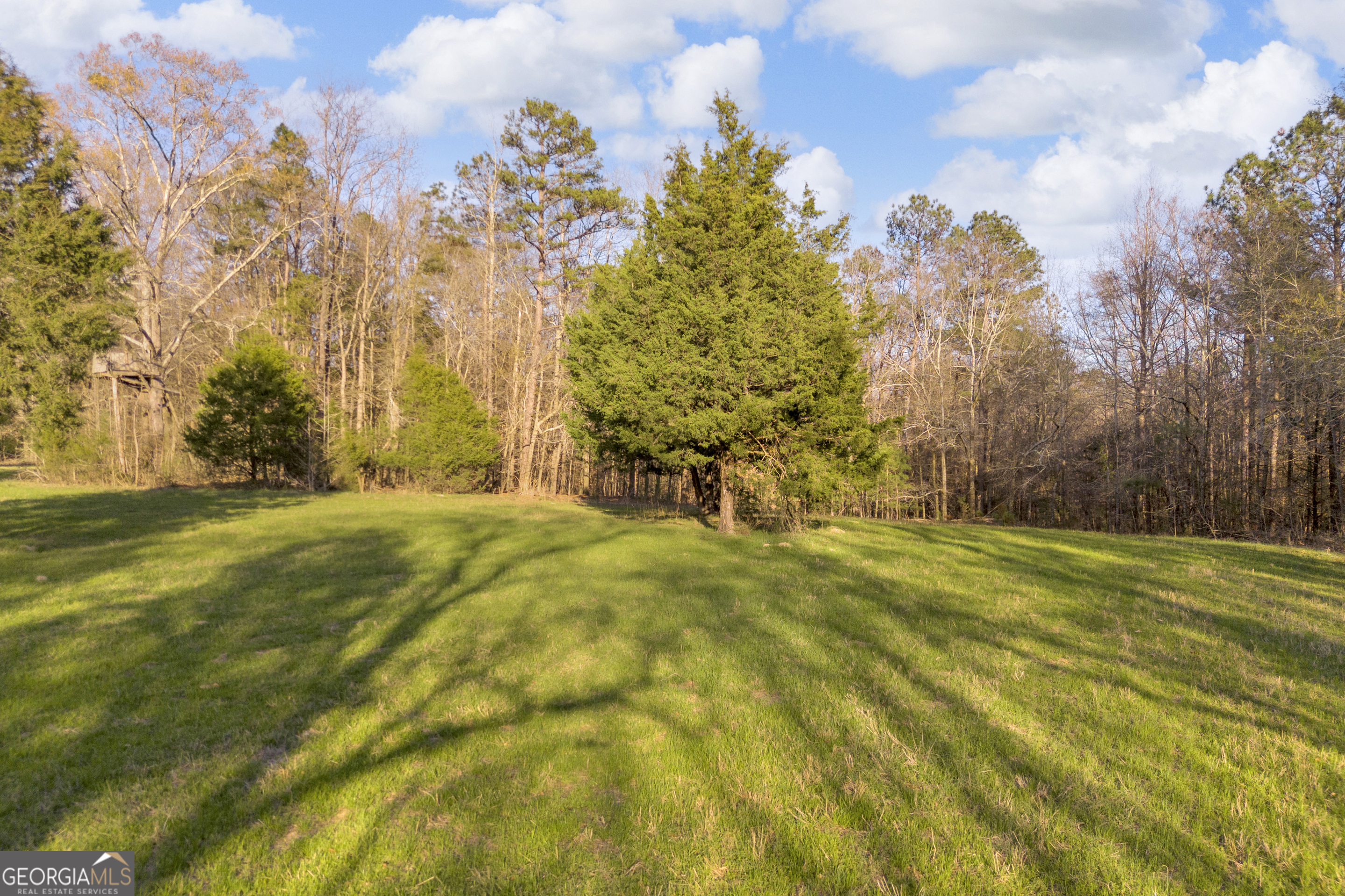 8714 Highway 172 Comer, GA 30629 - Photo 19 of 63