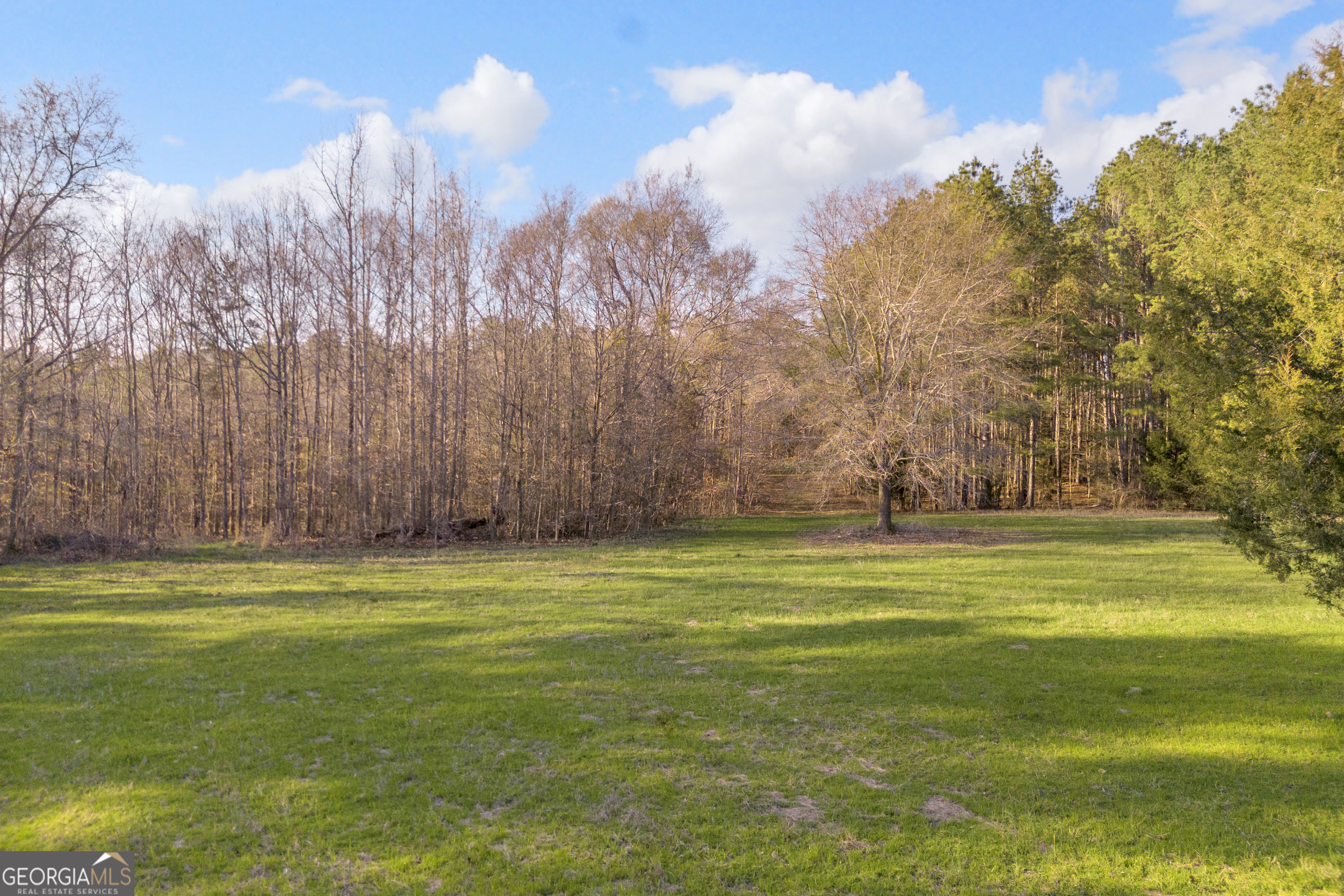 8714 Highway 172 Comer, GA 30629 - Photo 20 of 63