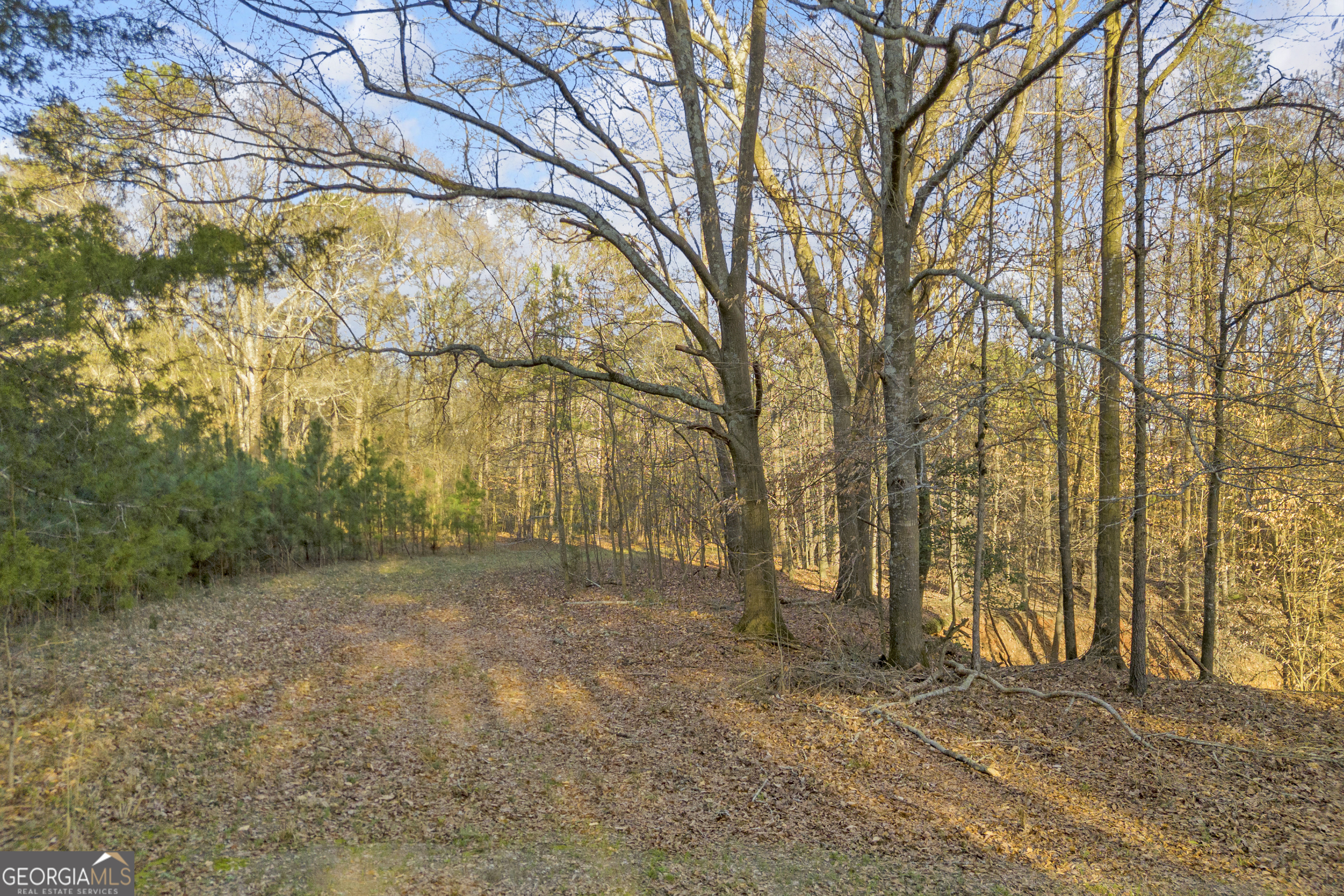 8714 Highway 172 Comer, GA 30629 - Photo 23 of 63