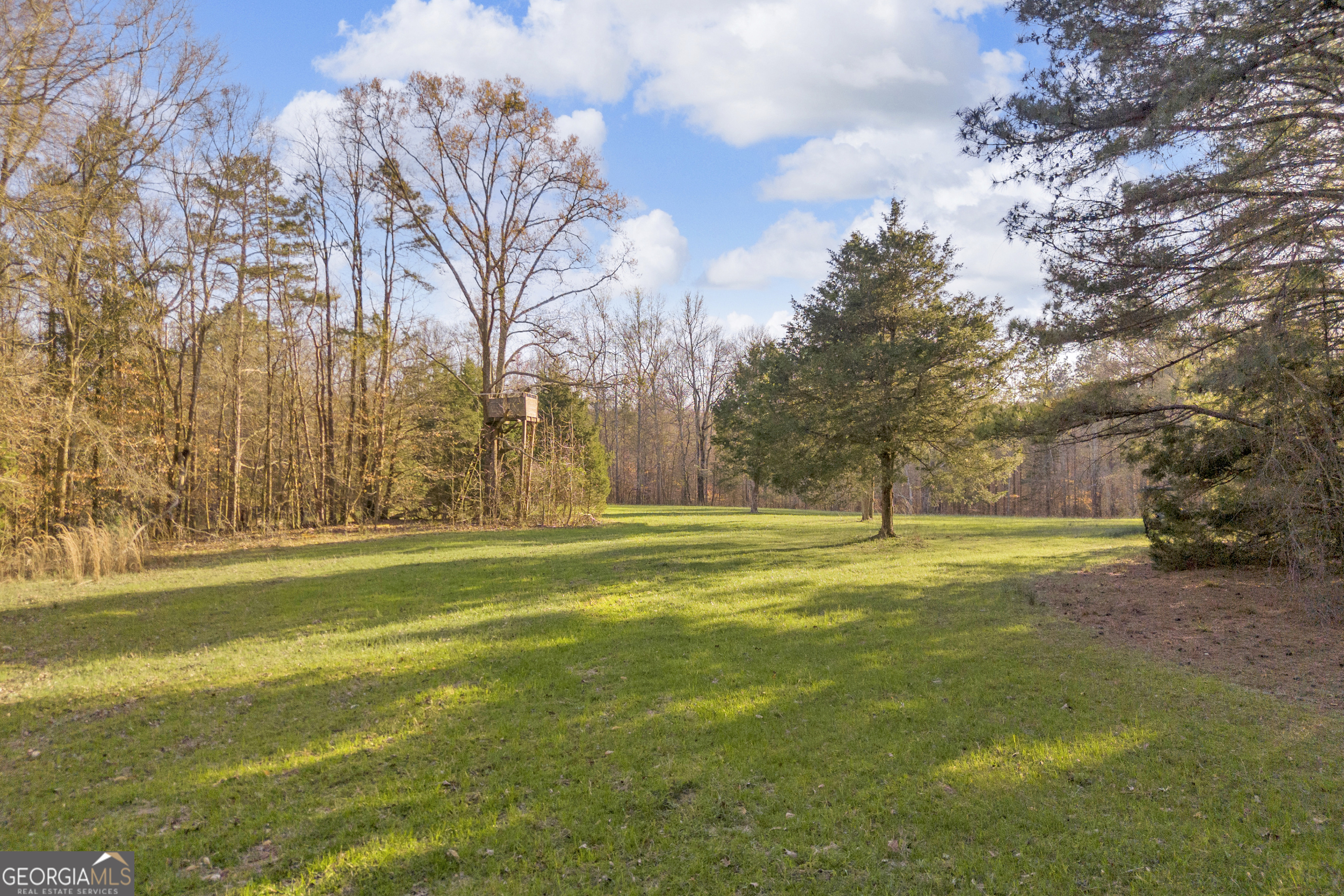 8714 Highway 172 Comer, GA 30629 - Photo 24 of 63