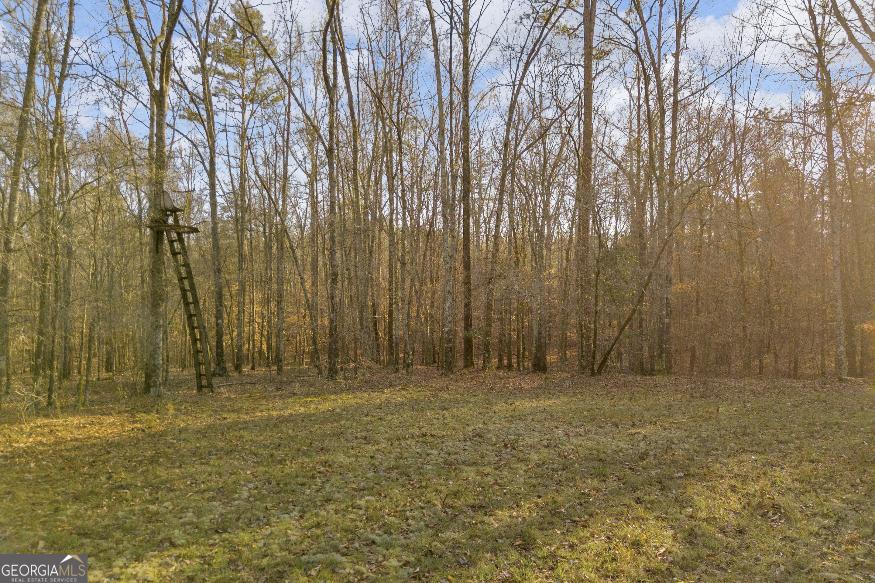 8714 Highway 172 Comer, GA 30629 - Photo 25 of 63