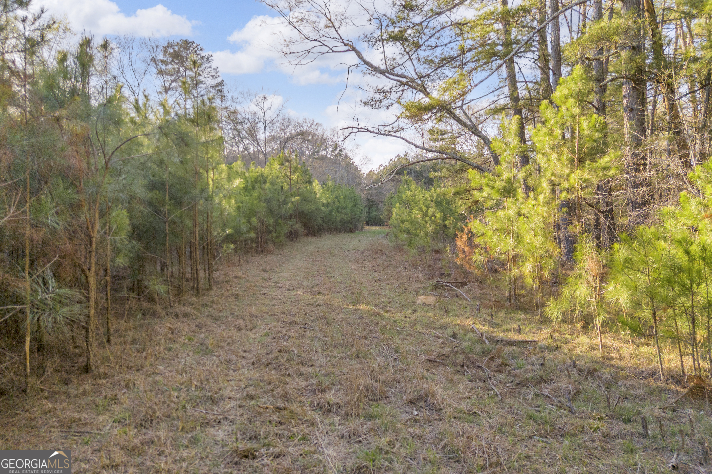 8714 Highway 172 Comer, GA 30629 - Photo 30 of 63