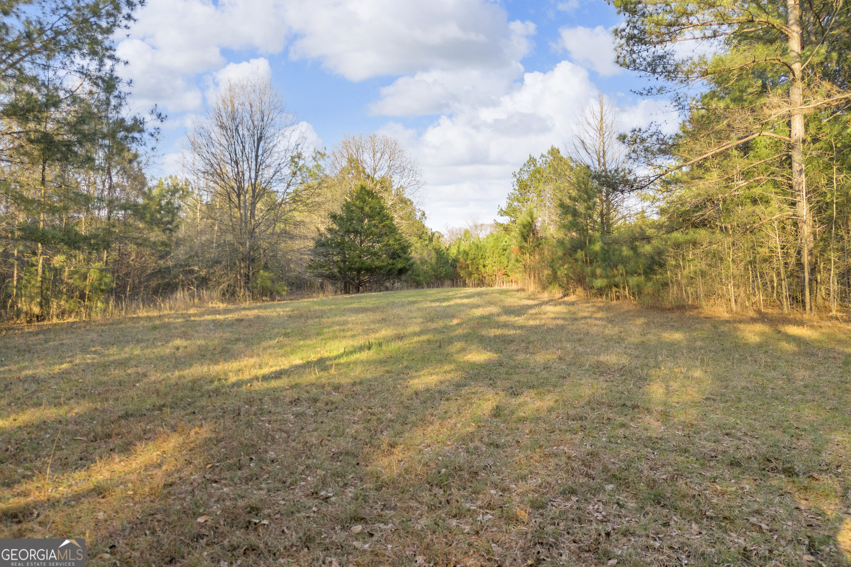 8714 Highway 172 Comer, GA 30629 - Photo 31 of 63