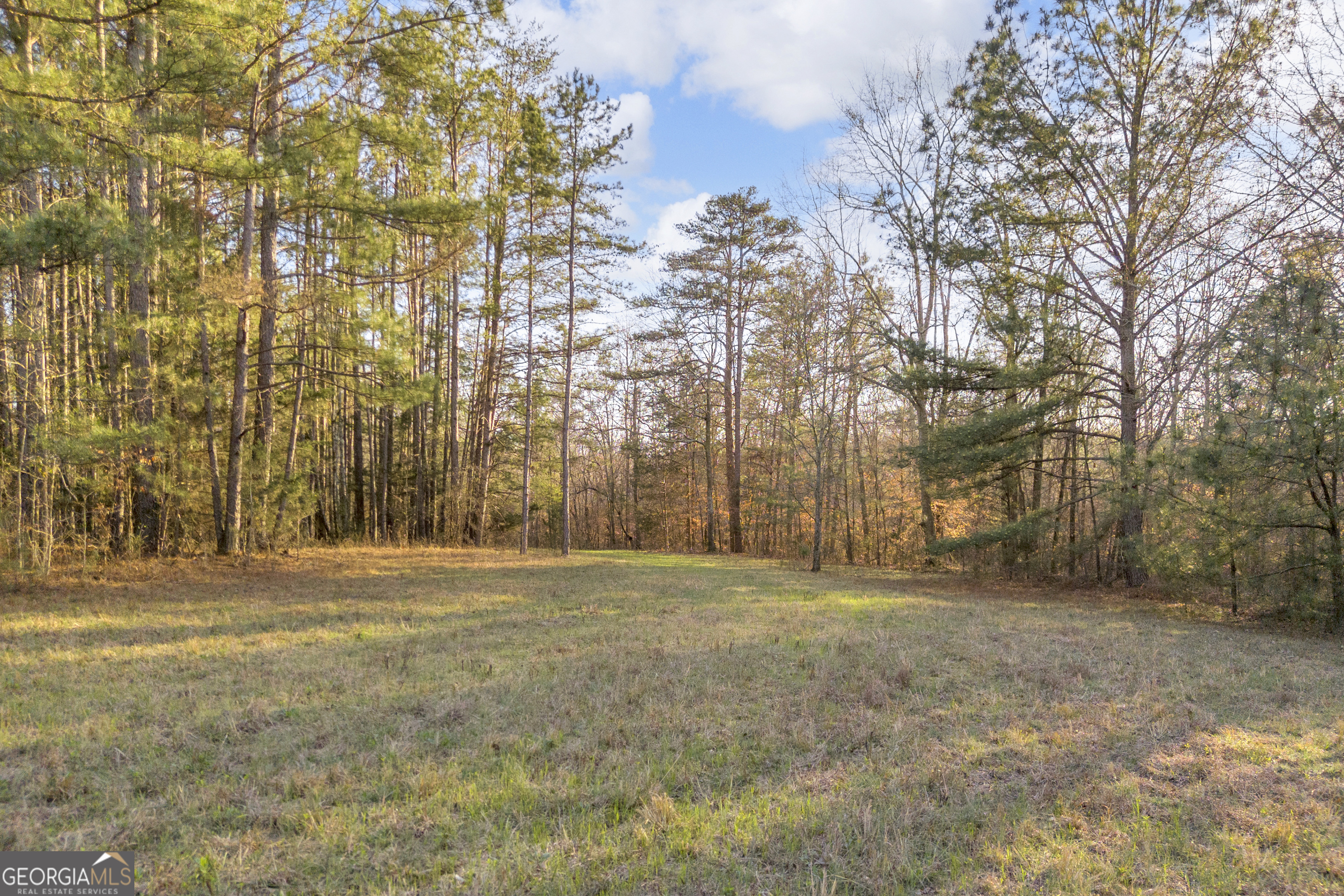 8714 Highway 172 Comer, GA 30629 - Photo 32 of 63