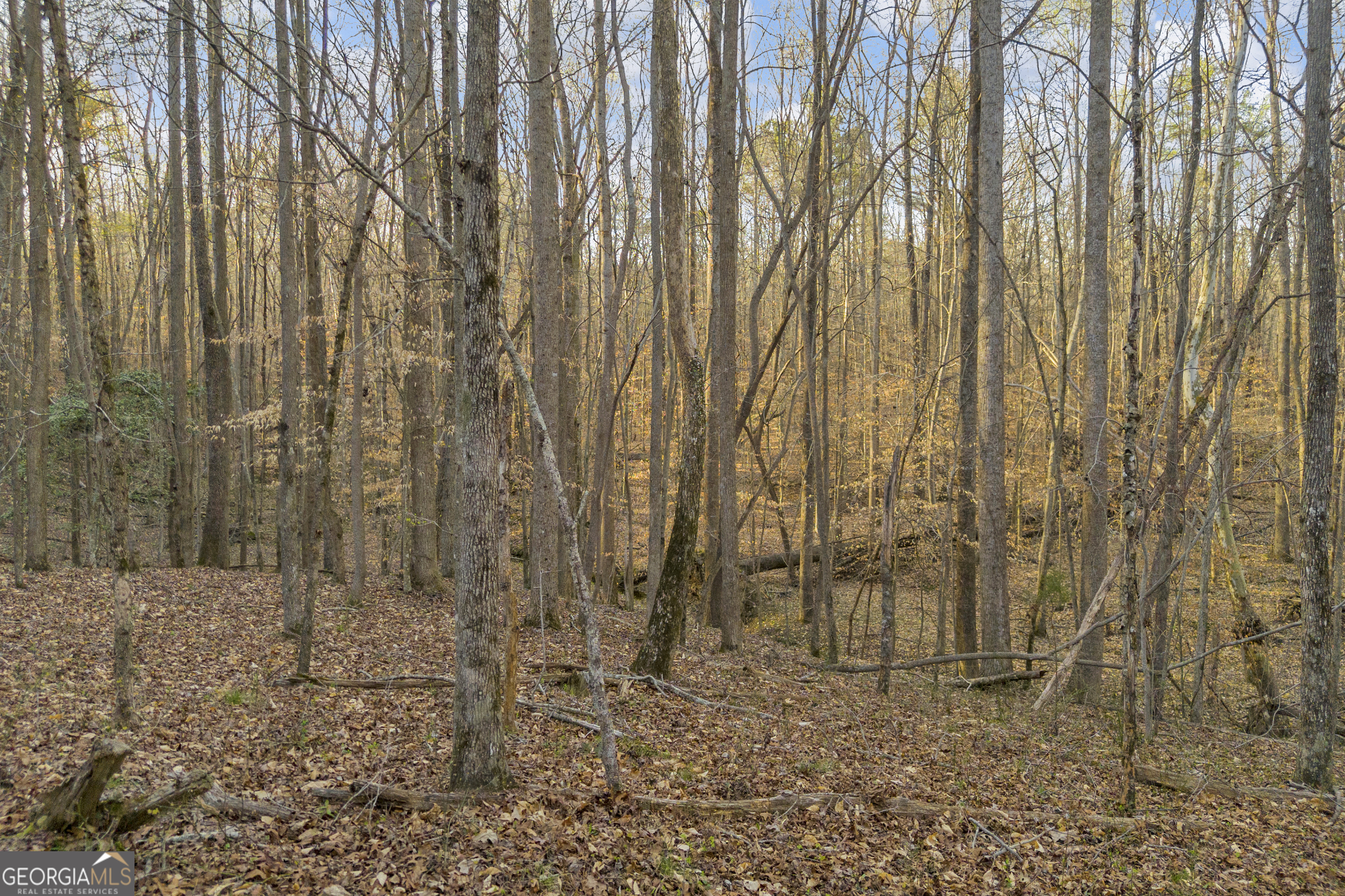 8714 Highway 172 Comer, GA 30629 - Photo 38 of 63