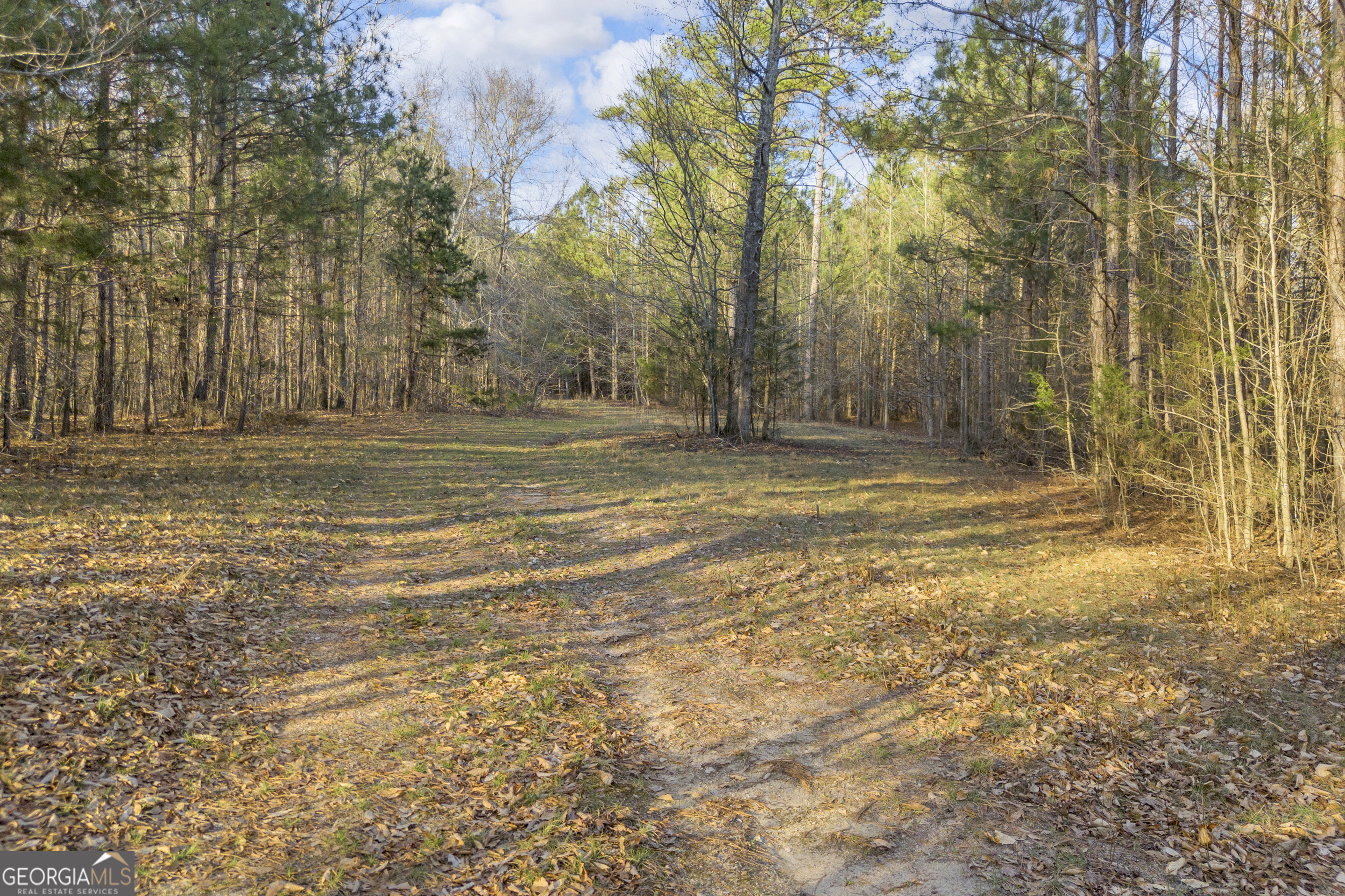 8714 Highway 172 Comer, GA 30629 - Photo 39 of 63