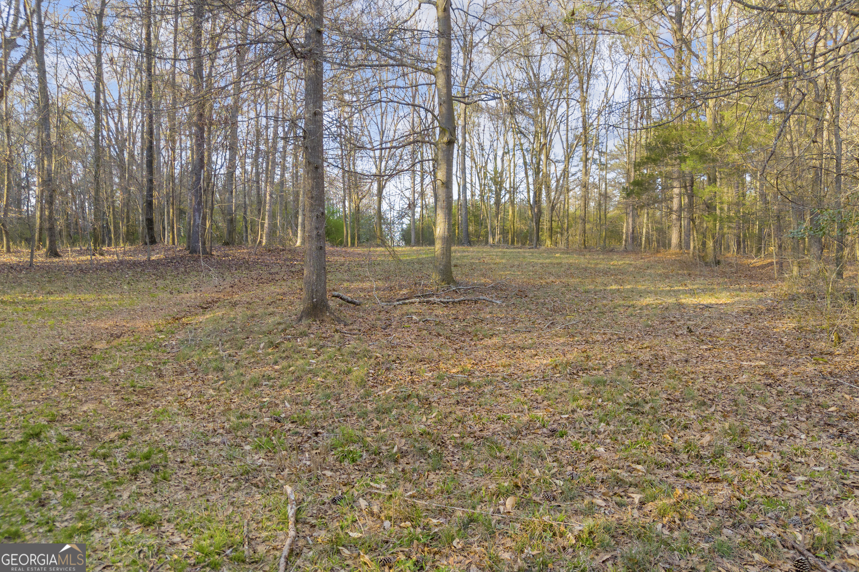 8714 Highway 172 Comer, GA 30629 - Photo 40 of 63