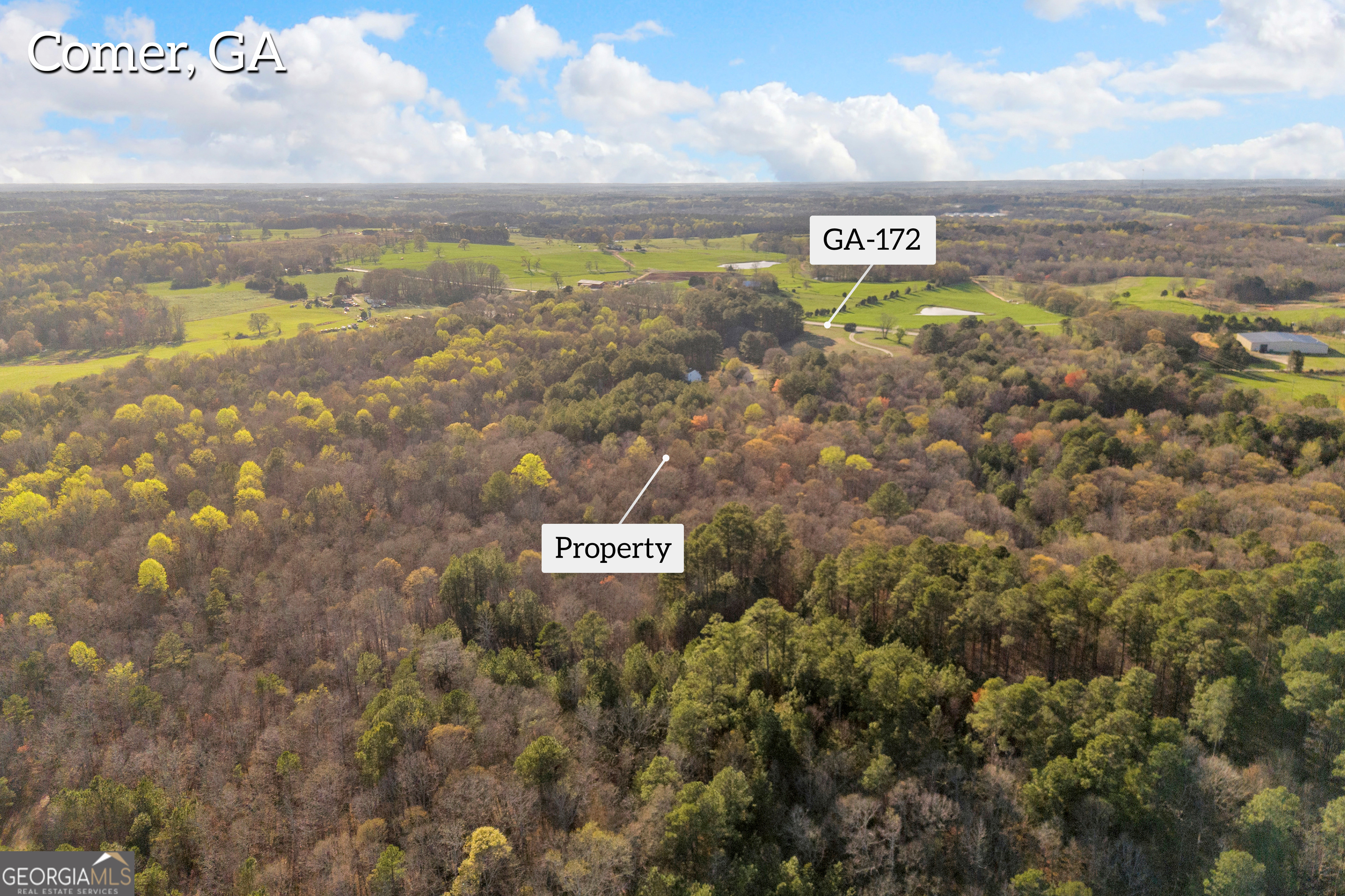 8714 Highway 172 Comer, GA 30629 - Photo 4 of 63