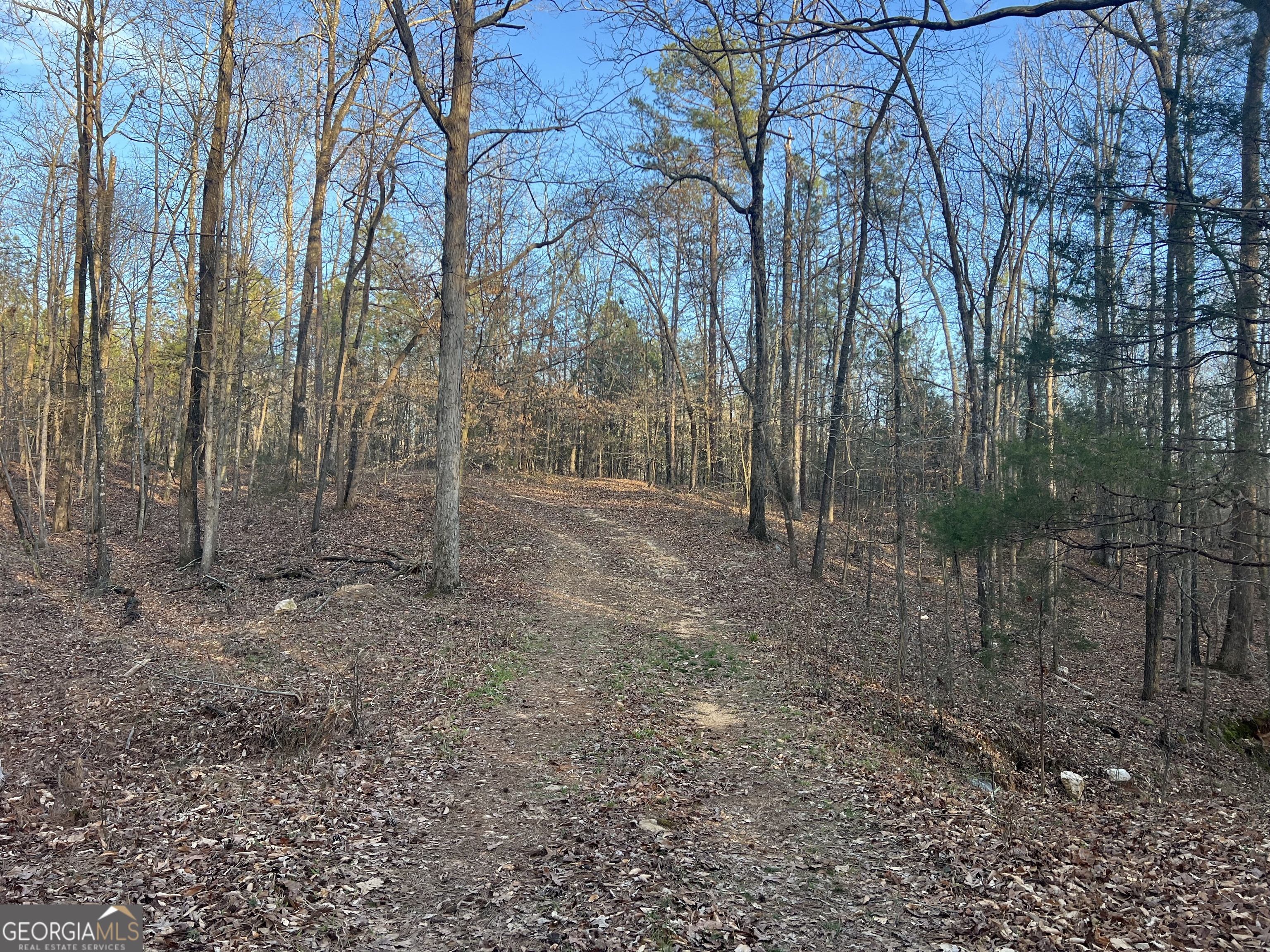 8714 Highway 172 Comer, GA 30629 - Photo 45 of 63