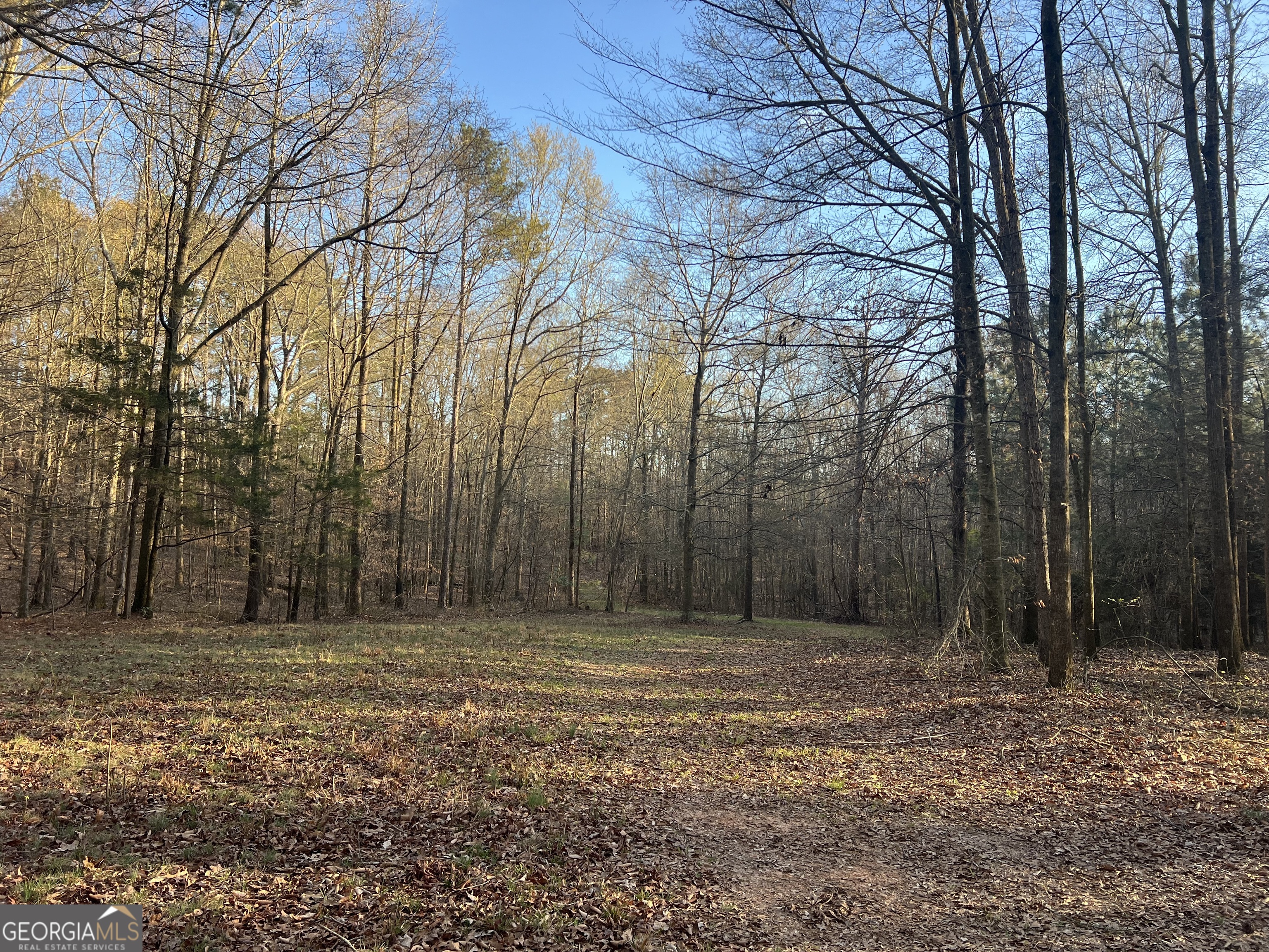 8714 Highway 172 Comer, GA 30629 - Photo 47 of 63